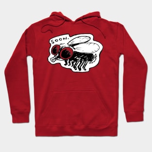 Like a Fly on the wall Hoodie